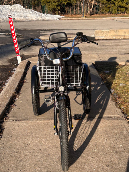 Tricycle électrique