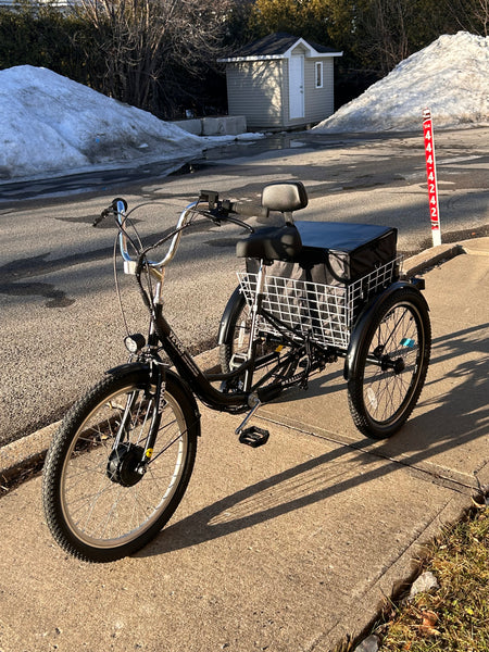Tricycle électrique