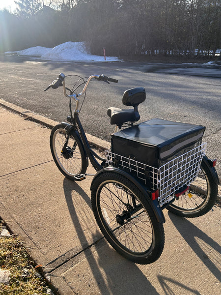 Tricycle électrique