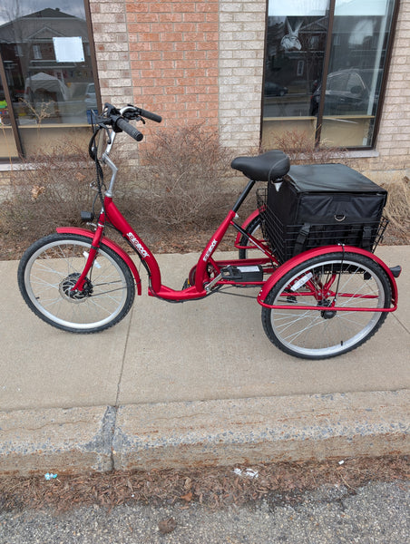 Tricycle électrique de luxe