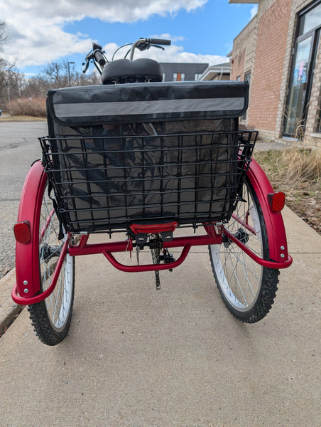 Tricycle électrique de luxe