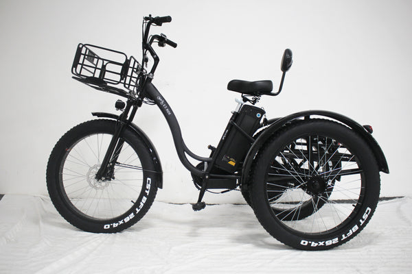 Luxury electric tricycle 